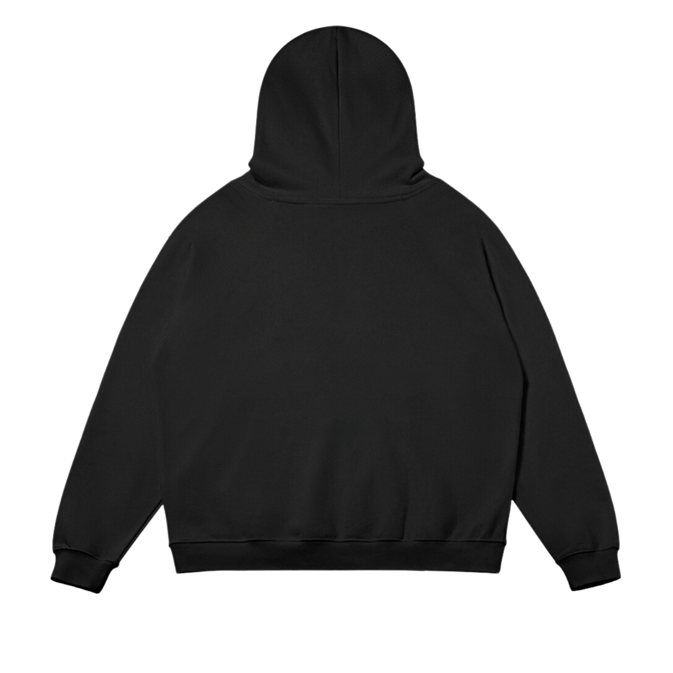 Fluctuat Nec Mergitur Hoodie